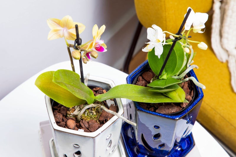 rePotme 4 x 6 inch Hexagon Ceramic Orchid Pot with Holes (Midnight Blue) - Ideal Plant Pot for Repotting Orchids and Other Flowers - Indoor/Outdoor - Image 4